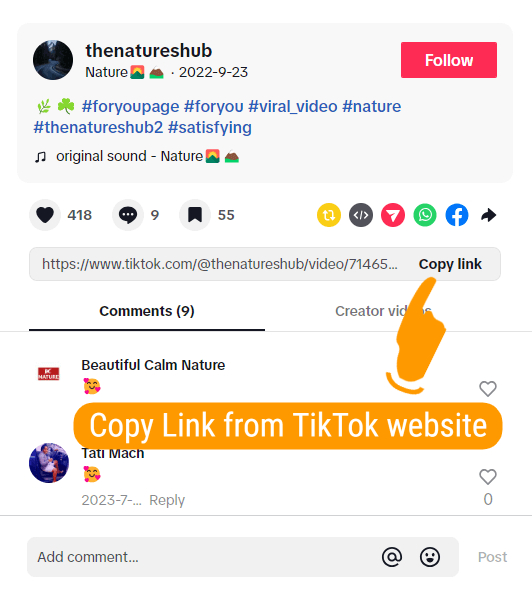 Pautan video TikTok dari laman web TikTok