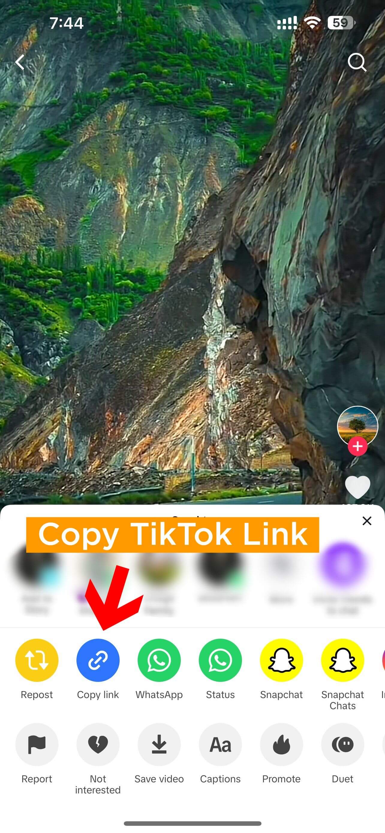 Copy TikTok video link on iPhone