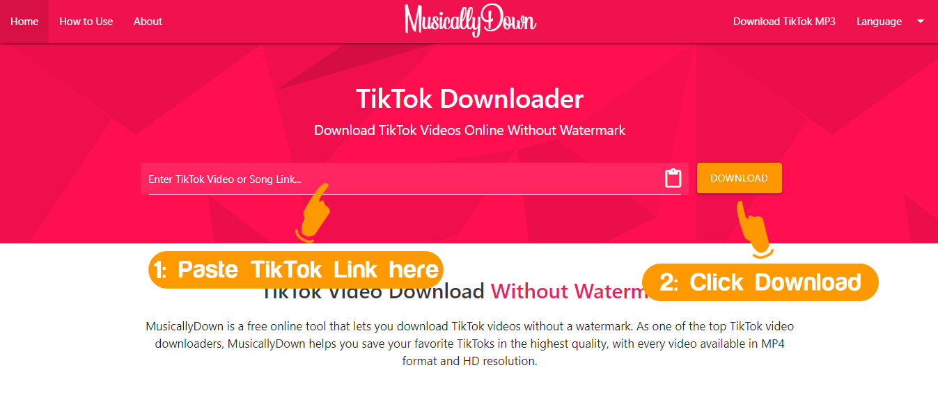 Download TikTok video without watermark on PC