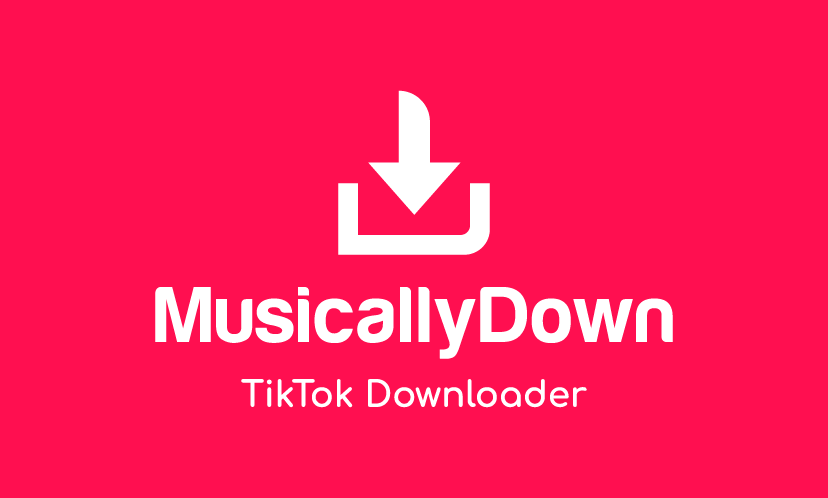 SnapTiktok - Online Tiktok Downloader - Tiktok video download without  watermark HD quality